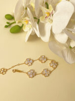 CD3B3F12-CF65-4FE8-8330-CE58D7FEB330