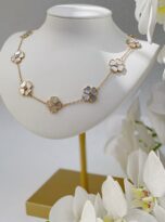 21CE28C8-A3DC-4EB4-BAE1-5FC97F7CF4F0-D6CD8DE5-76DC-4E04-9F32-BD983887E154