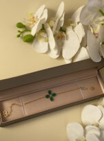 6E8504A7-DFEC-4CDF-ACD9-B6907A512507