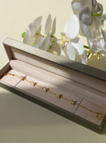 10C8E49F-3B02-4911-99C2-AE29CA0E1856