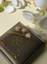 314CD7A0-0B51-403C-87D9-222F367175EC