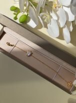 AB9DEC74-8567-4871-8E18-D3DE543D80D4