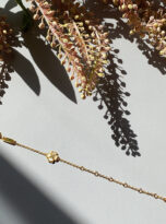 BD9B251D-A528-4D78-B4F8-238BE6C13753