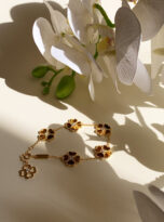 23B75555-265A-4C84-B40B-0327200C587C