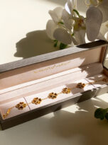 6D467202-C303-4D24-86A2-A25B3D9171F6