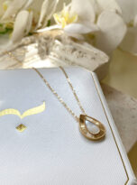 1AE79501-E74E-410A-A6E8-C32CF9D7506A