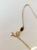 221FC511-DEF3-45EC-AB00-FE59B0AA42FC