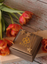 09AF0CDB-CF5E-42C8-8804-FC5FE7DEEC66