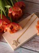 67860FB9-87C4-432E-9E34-D262FEB68FDA