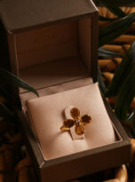 E7417F4C-063B-498C-9472-E1383A6DB700