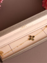 5C0ABF80-DE90-4C43-9A56-A1131E894616