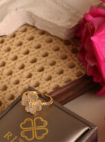 396D0A0B-62E5-45BF-81AF-31A418D02B6D