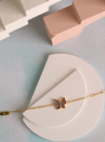 76B06A1A-58B7-4D28-B4C2-30BA14EED301