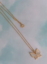 B0271711-7CBD-43F2-8EAB-8A7A7A770CA6