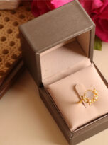 C608F199-0499-45DC-AB8E-D6E00EA1334A