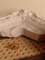 D4E73F07-D462-4616-9DB5-6316749983C8