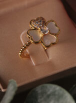 DD8C9278-BF7B-46AA-A039-4FB34D902504