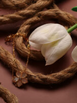 383905D7-2F85-43FF-9FDC-7BA7668E2E26