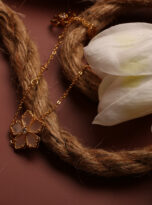 8BFE4780-07FB-4EFB-AB46-E0D1A919F2BE