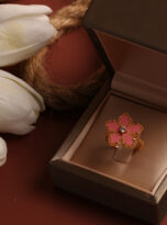 D5204E06-4333-4559-B661-EDA667AF4E40