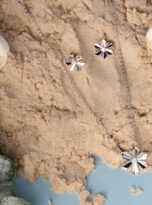 6D81F04E-1421-4FC2-BBEA-39941D3E1F1A