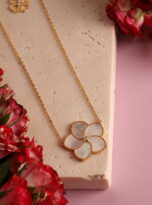 55E11611-86EB-4088-9D64-7078E087F644