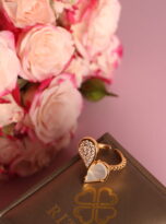 4B3F2315-DFFA-4BC6-8DD5-8E413D35607B