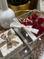 DEA06D5C-D502-4B6B-8AEC-9C1B6729A295