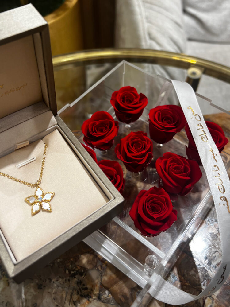 Stella pearl necklace - gift box