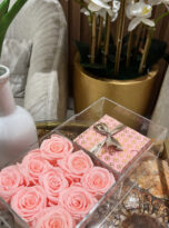 58E1A19E-4EF5-4F7C-A866-CF1F5BA866B7