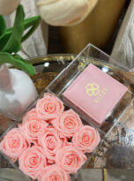 C0972699-C334-45D3-ADBA-78604AA13380