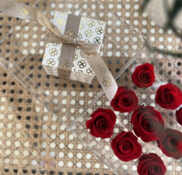 Stella pearl Earrings - gift box