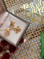 0C47061D-C624-4F0F-BD79-C99F46E2F6AA